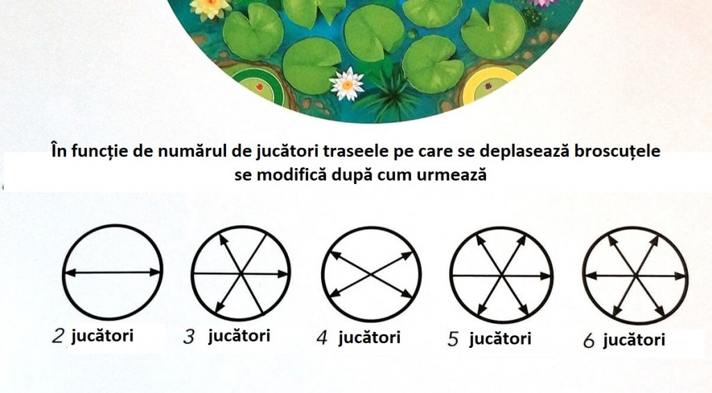 FOTO_4